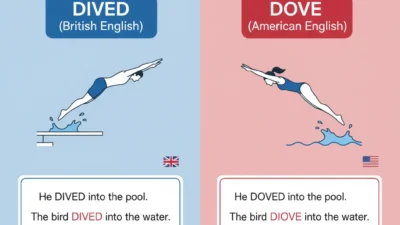 Dived or Dove